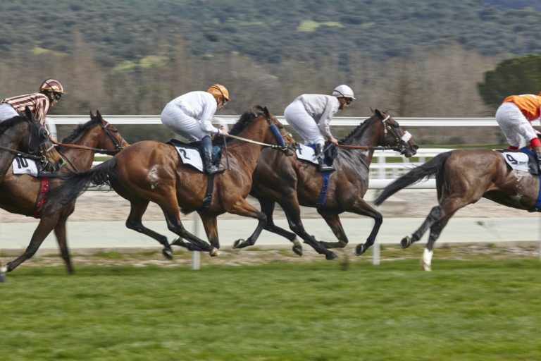 Horse race final rush. Competition sport. Hippodrome. Winner. Speed background